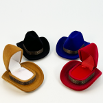 Miniature Cowboy Hat Shaped Velvet Flocking Jewelry Box Collection